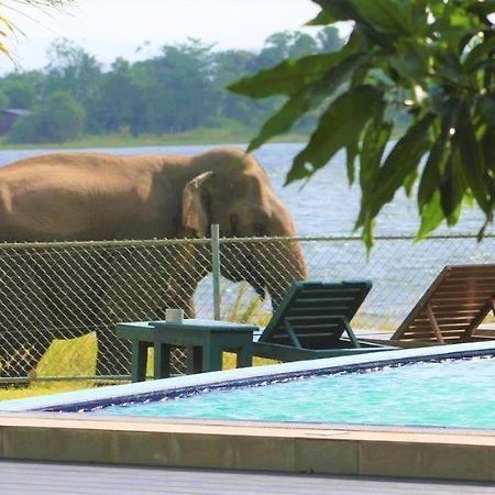 Hotel Lake Park Polonnaruwa Eksteriør bilde