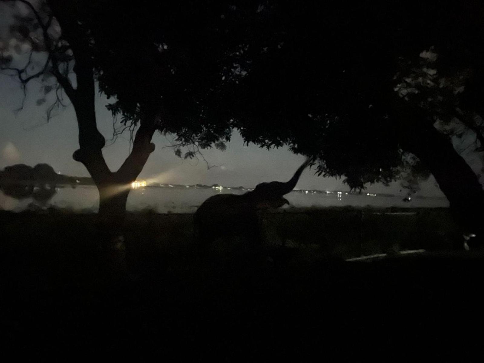Hotel Lake Park Polonnaruwa Eksteriør bilde