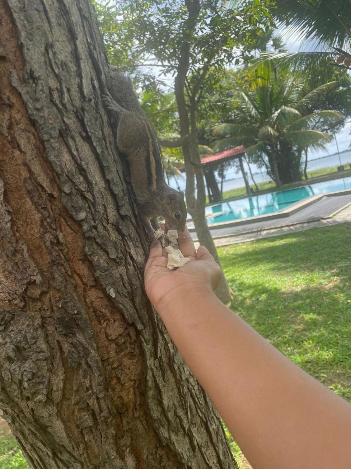 Hotel Lake Park Polonnaruwa Eksteriør bilde
