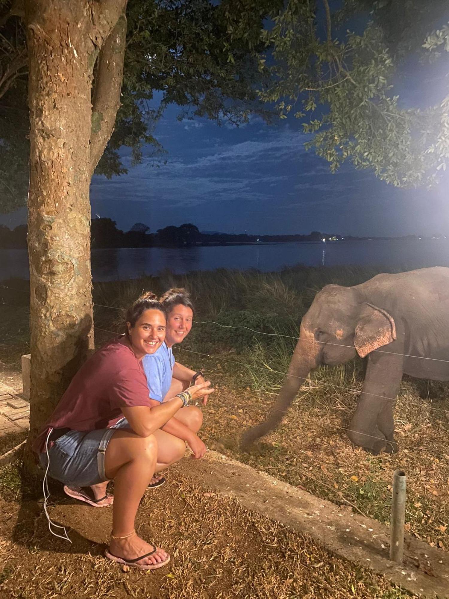 Hotel Lake Park Polonnaruwa Eksteriør bilde